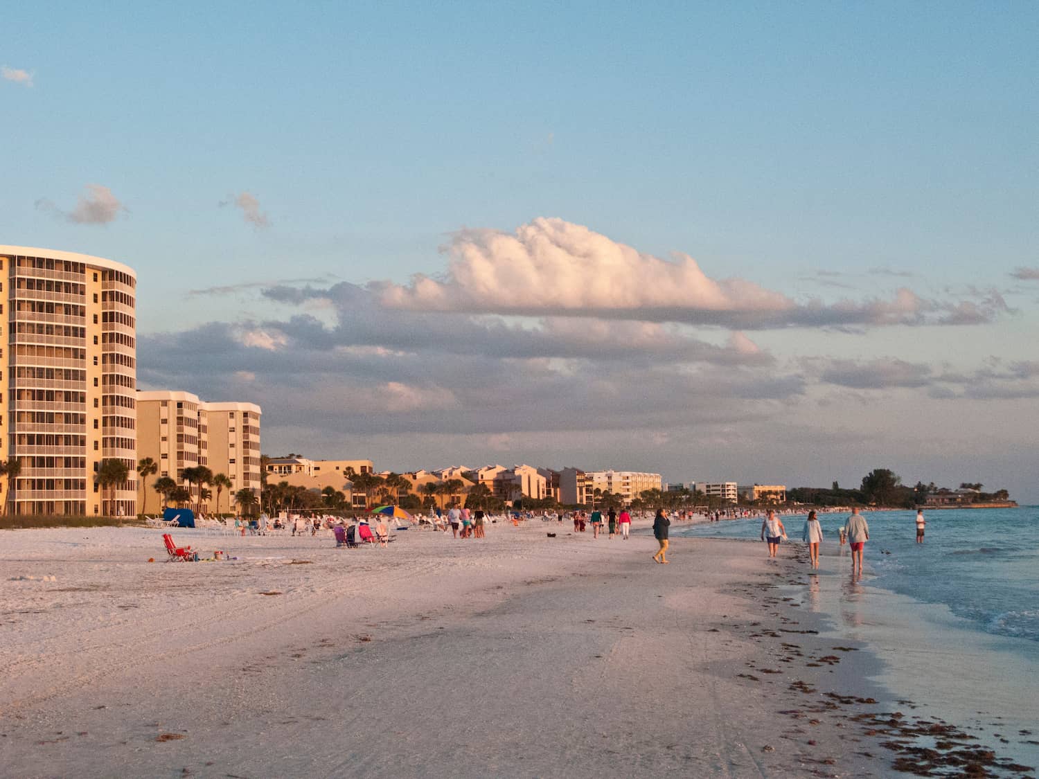 Pest Control Services Crescent Beach, FL