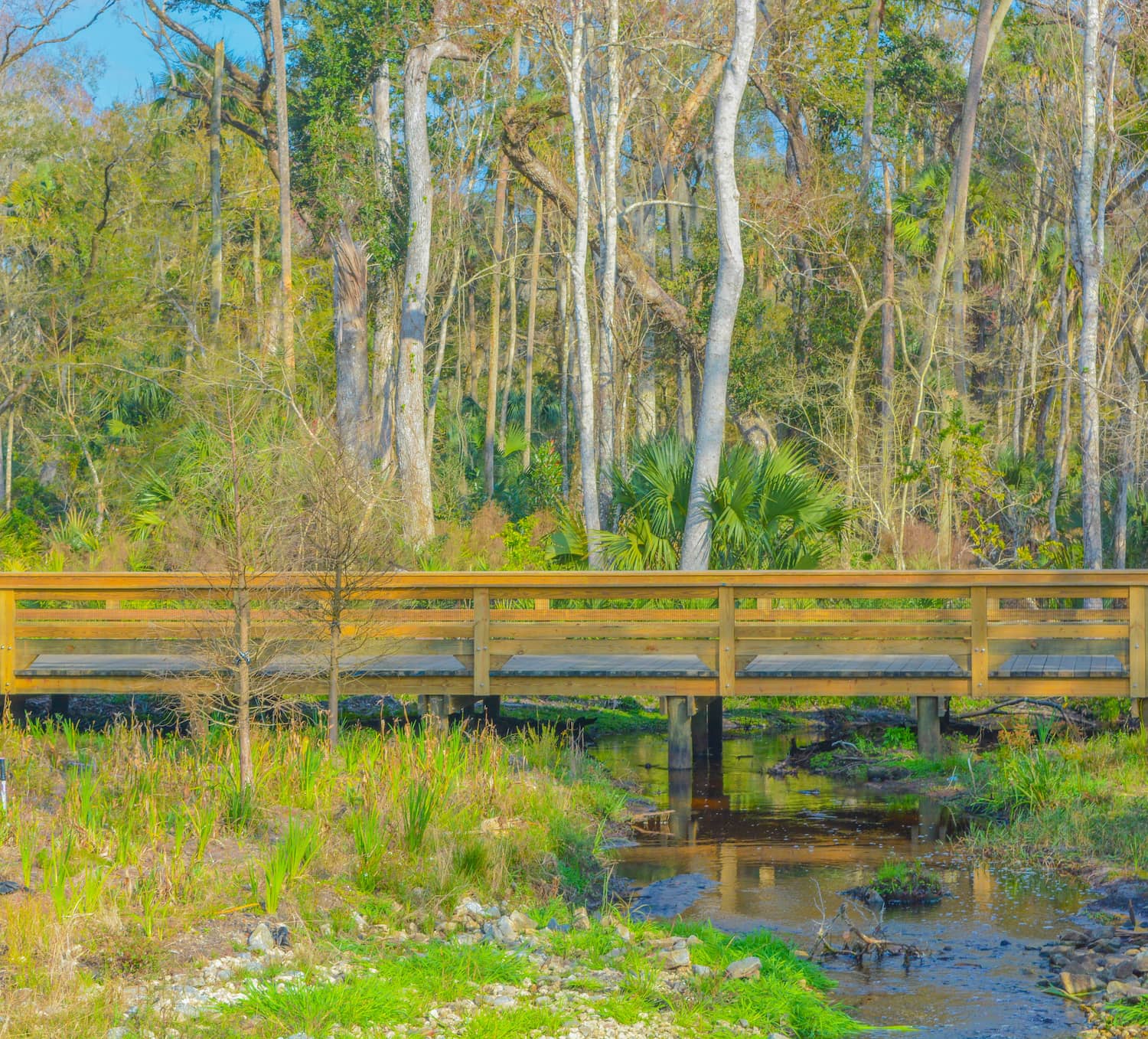 Pest Control Services Nocatee, FL