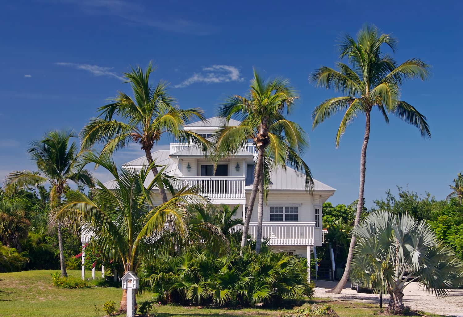 Palm-Valley-Pest-Control