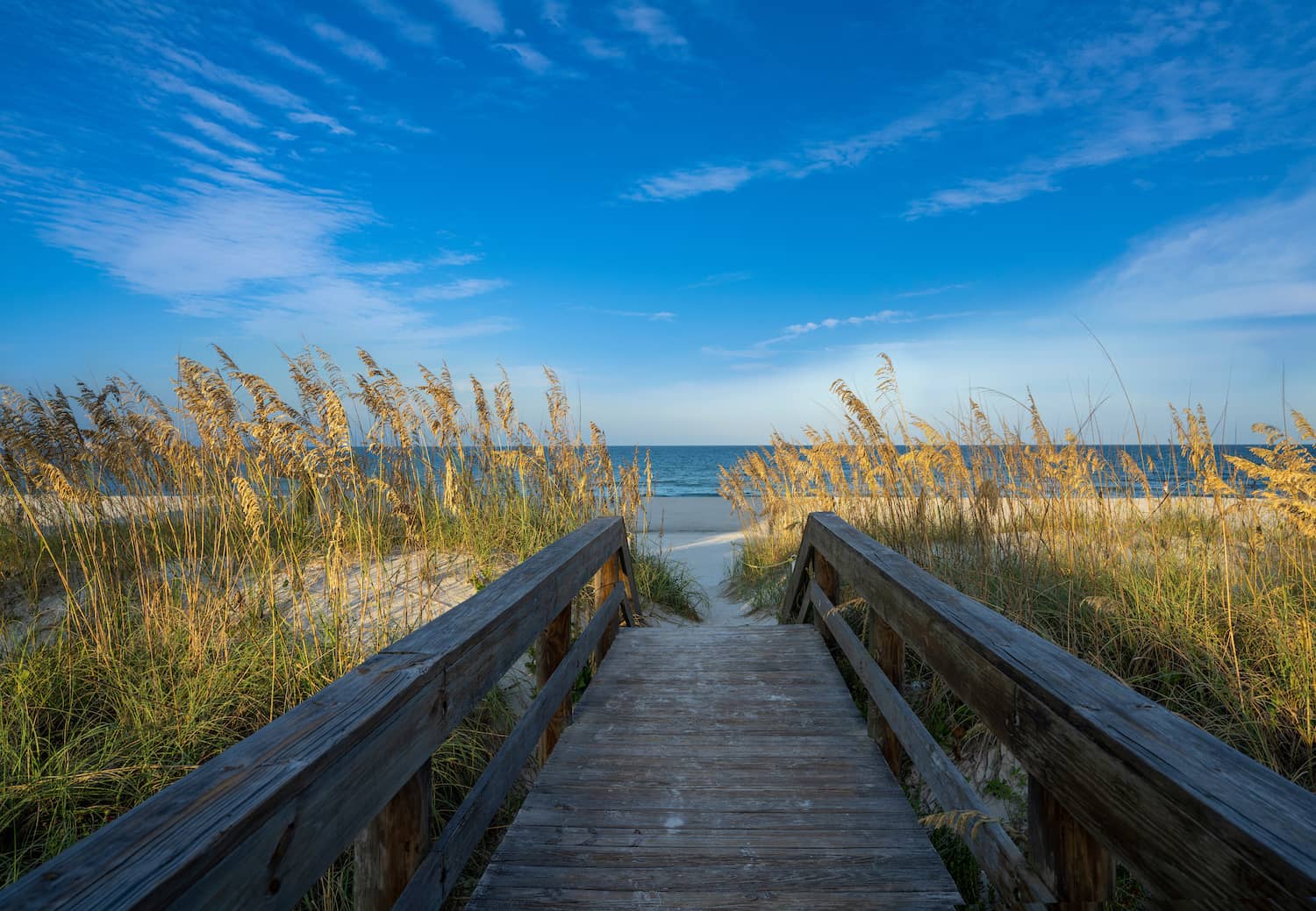 Pest Control Atlantic Beach FL