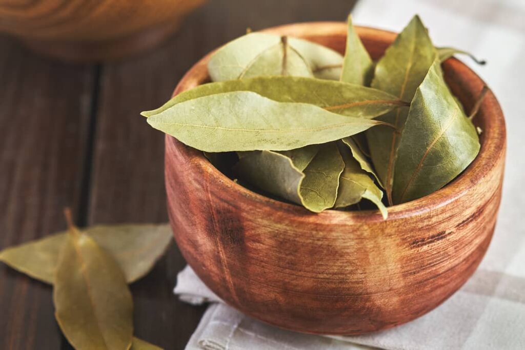 Bay leaves are a great repellent to use. 