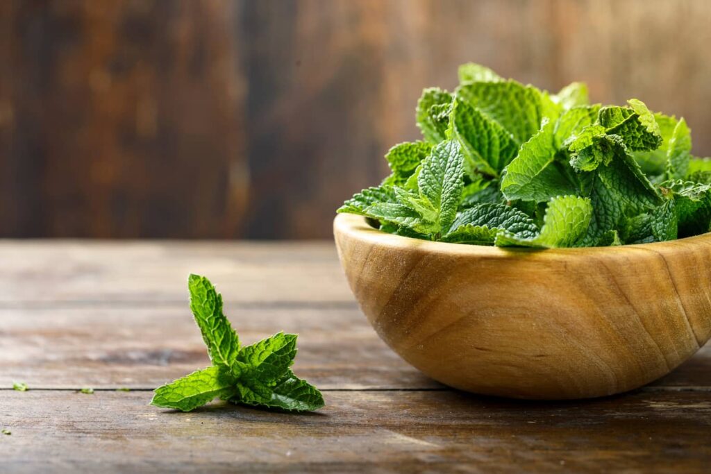 Mint smell repels cockroaches. 