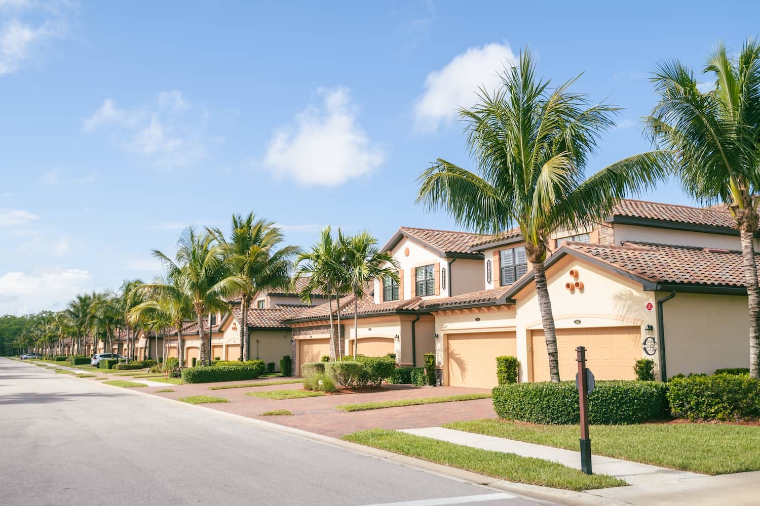 Termite Inspection Orange Park FL Services