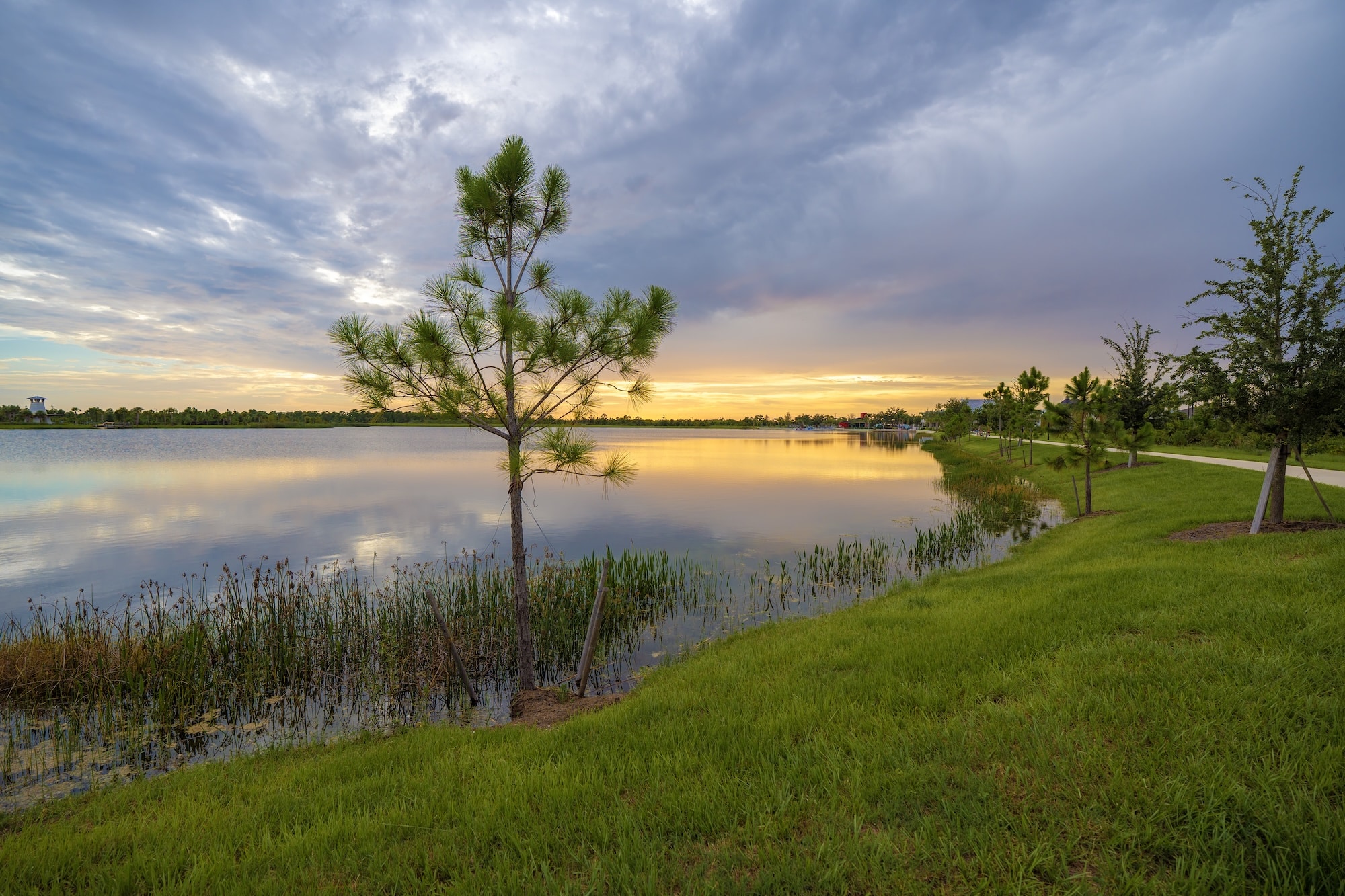 Amazing Florida nature. Sunset over lake water in southern tropical wetlands. Rodent Control Bunnell FL