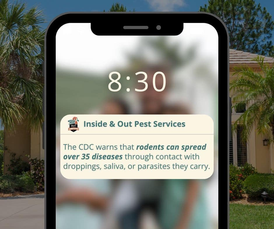 importance of exclusion reminder