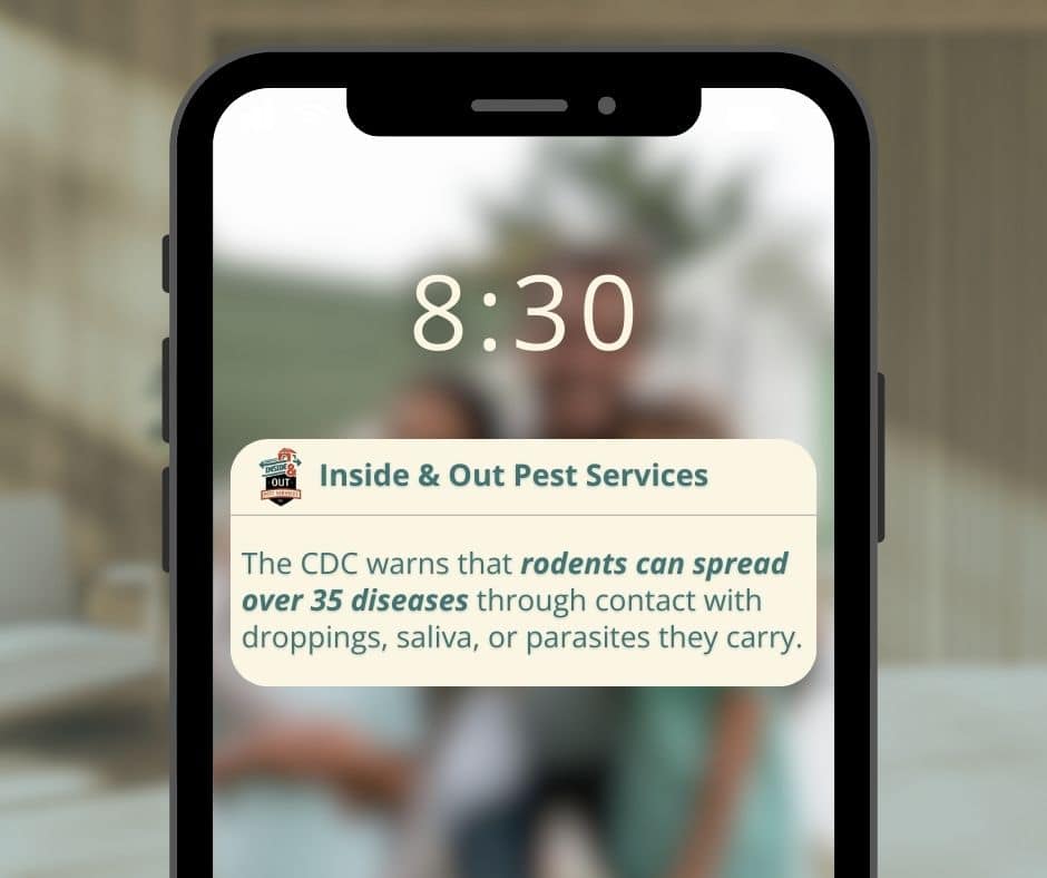 rodent mouse bite stat