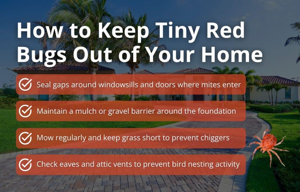 An informational checklist graphic by Inside & Out Pest Services sharing tips on how to keep tiny red bugs out of your home.