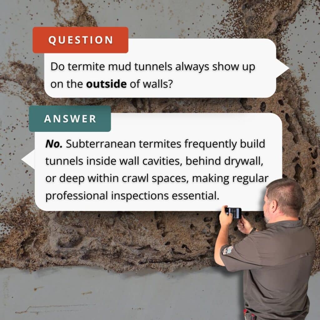 A Q&A infographic from Inside & Out Pest Services explaining that termite mud tunnels do not always show up on the outside of walls, as subterranean termites often build them hidden inside wall cavities and crawl spaces.