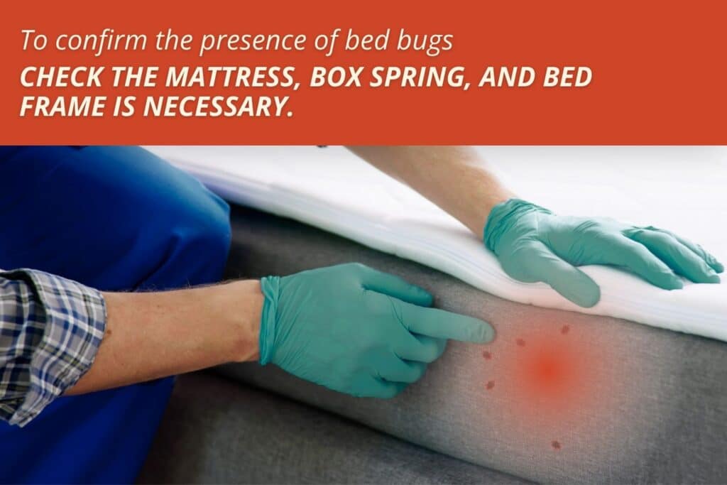 A graphic showing a person in green gloves inspecting a mattress beneath the text, "To confirm the presence of bed bugs CHECK THE MATTRESS, BOX SPRING, AND BED FRAME IS NECESSARY."