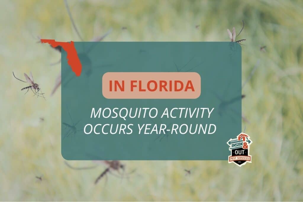 A social media graphic with the Inside & Out Pest Services logo and a Florida silhouette reading, "IN FLORIDA MOSQUITO ACTIVITY OCCURS YEAR-ROUND."