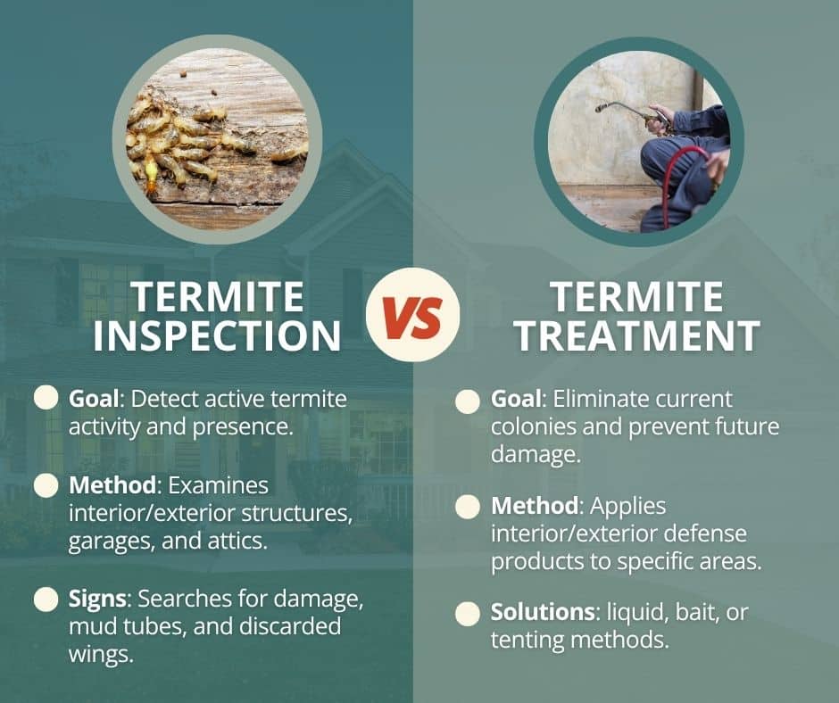 Comparison graphic outlining key differences between termite inspections and treatments.
