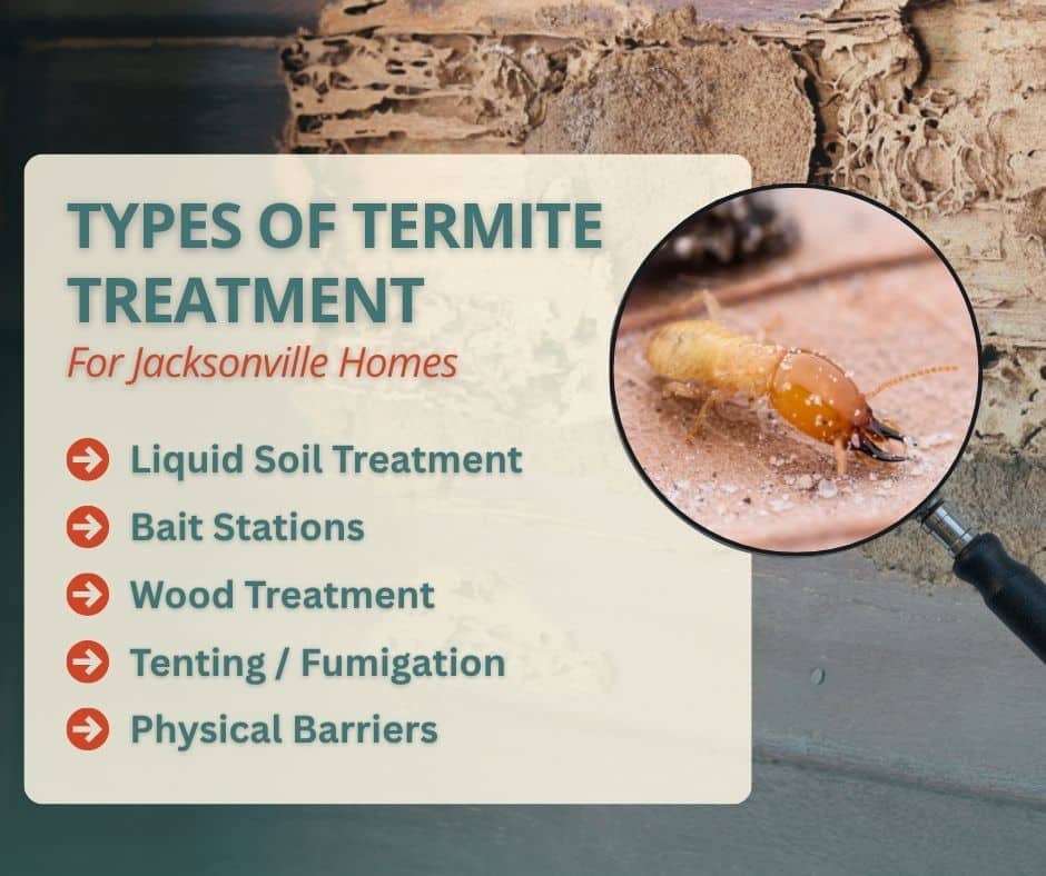 Infographic listing five termite treatment options for Jacksonville homes.